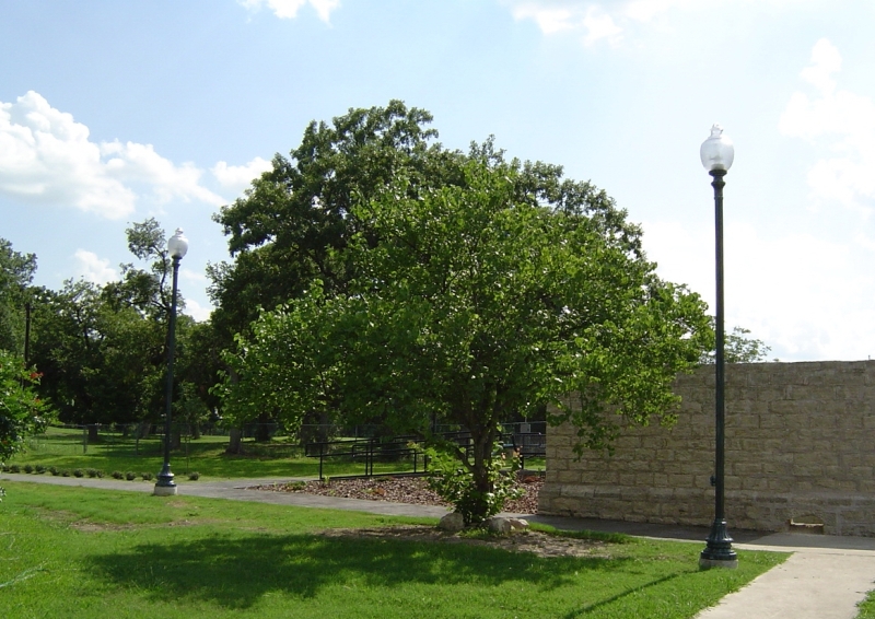 Hancock Springs Area